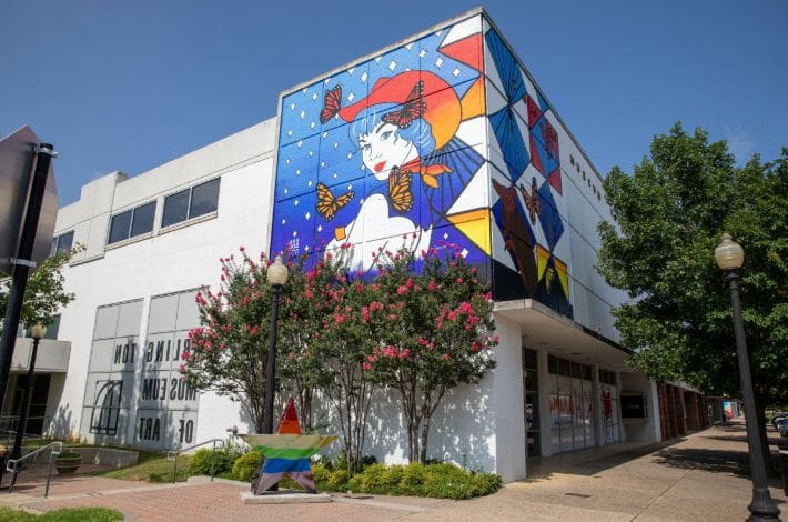 67eaadcc0e07d_14-facts-about-art-and-culture-in-arlington-texa1708772296-523413552